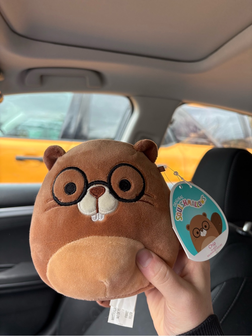Chip 5” Squishmallow Beaver with Glasses NWT